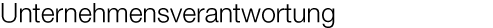 Unternehmensverantwortung als Strategie.